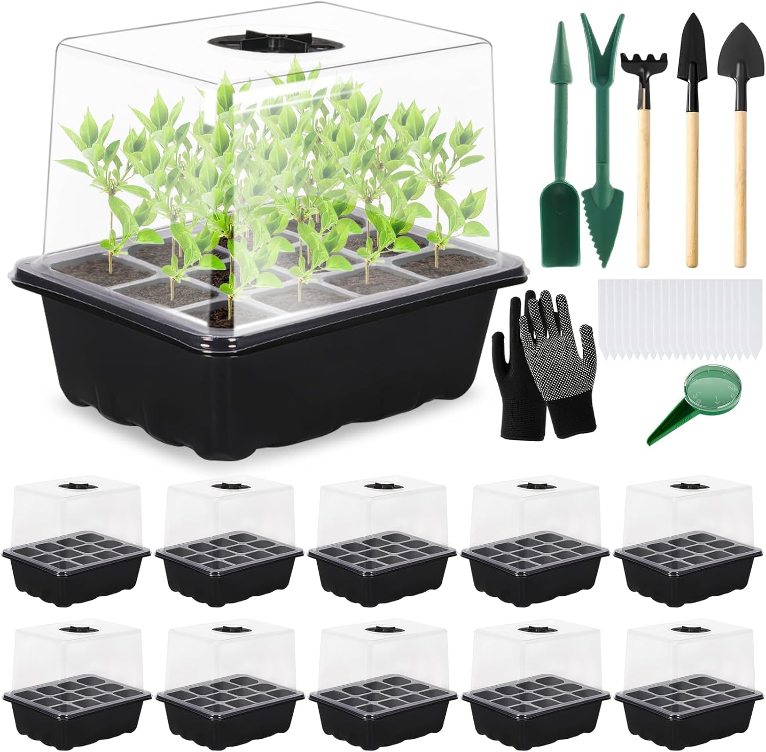 mini serre de germination