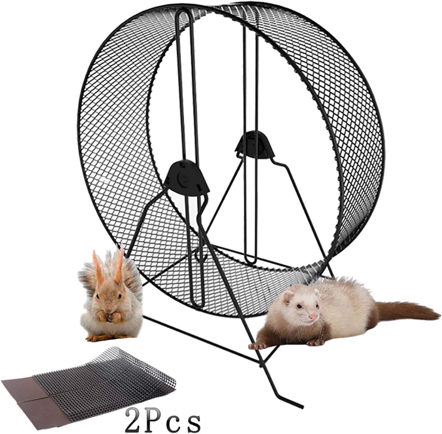 rabbit exercise wheel