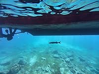 Review Image by A. K. A. K.