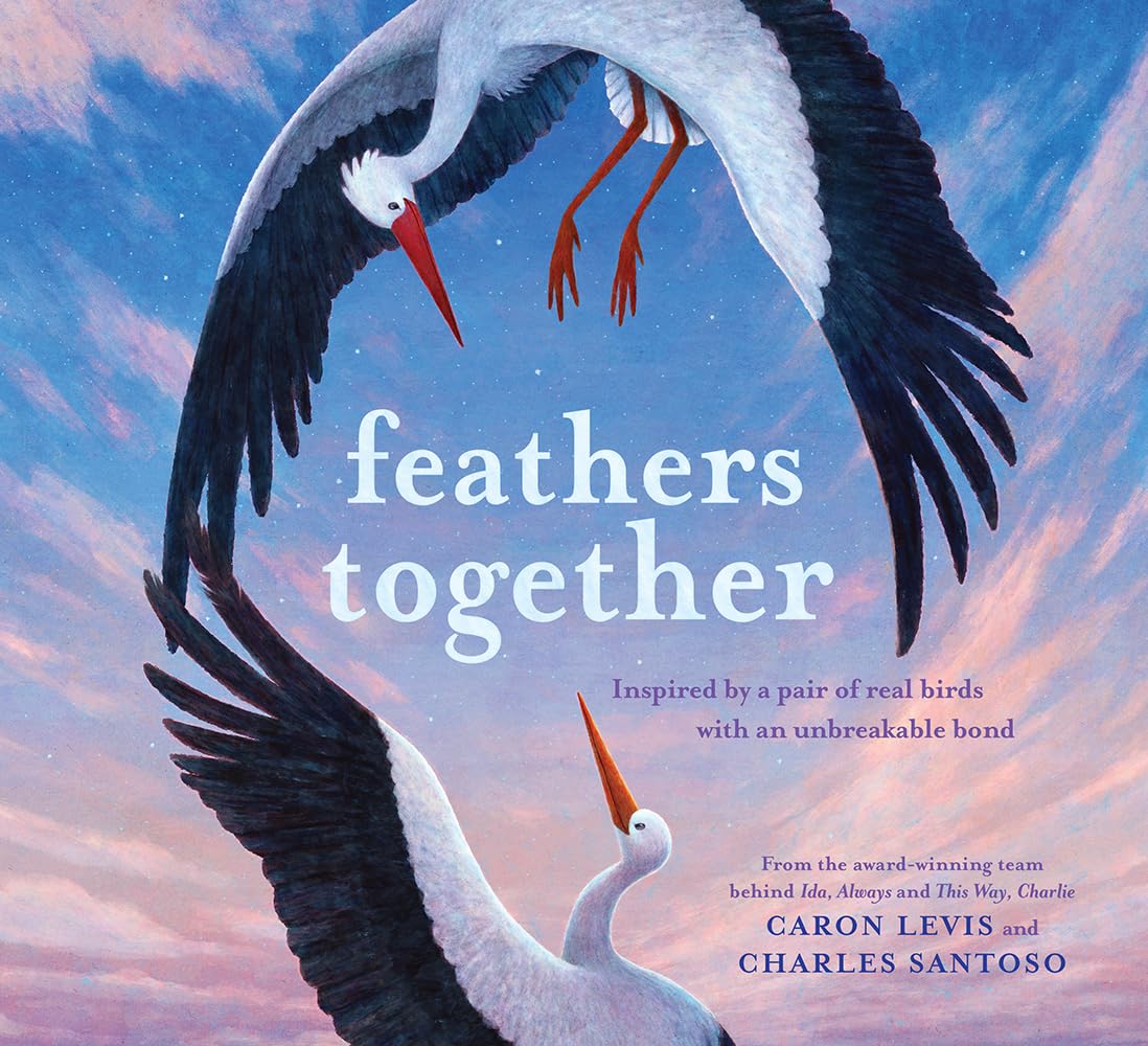 Feathers Together by Caron Levis (2022, Hardcover)