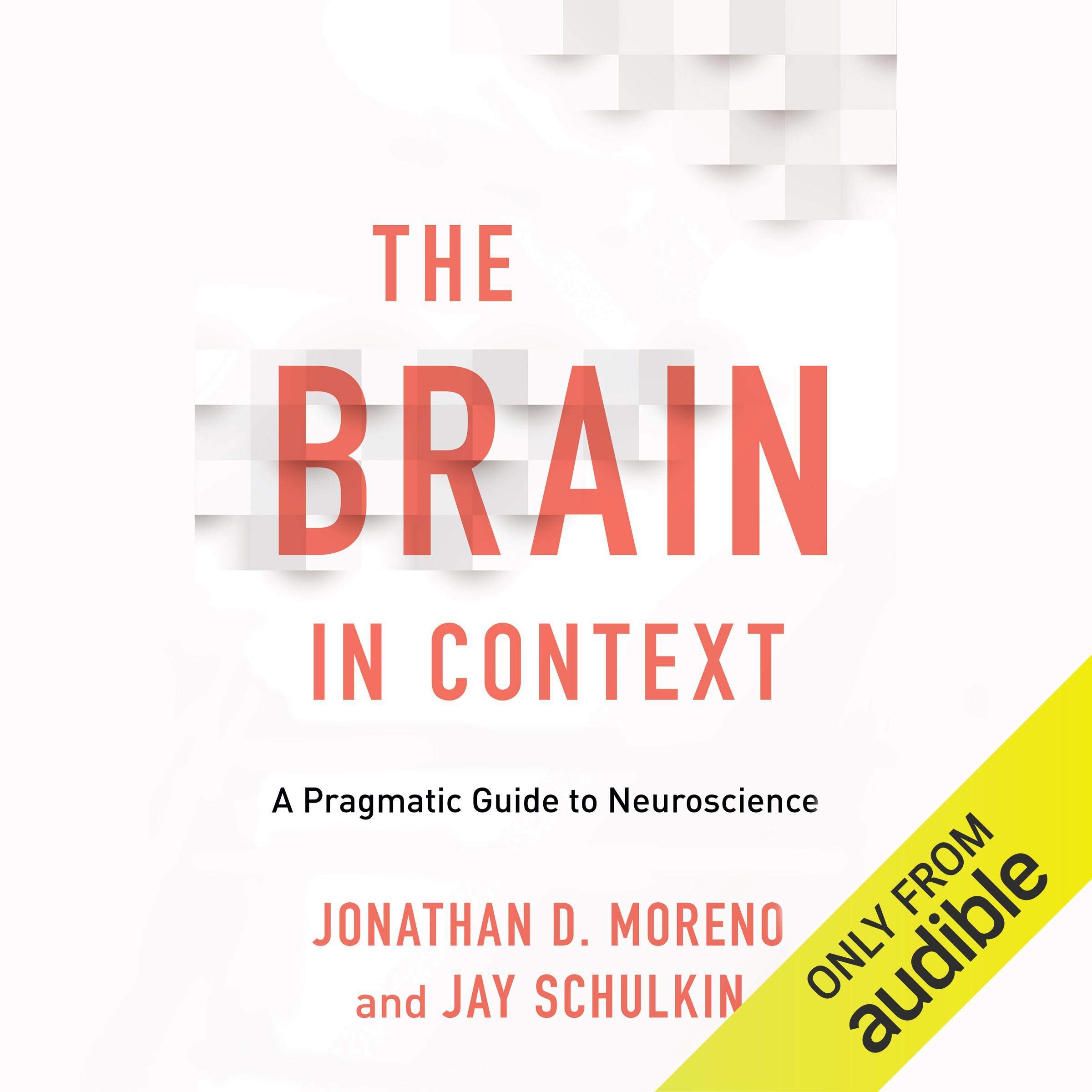 The Brain in Context