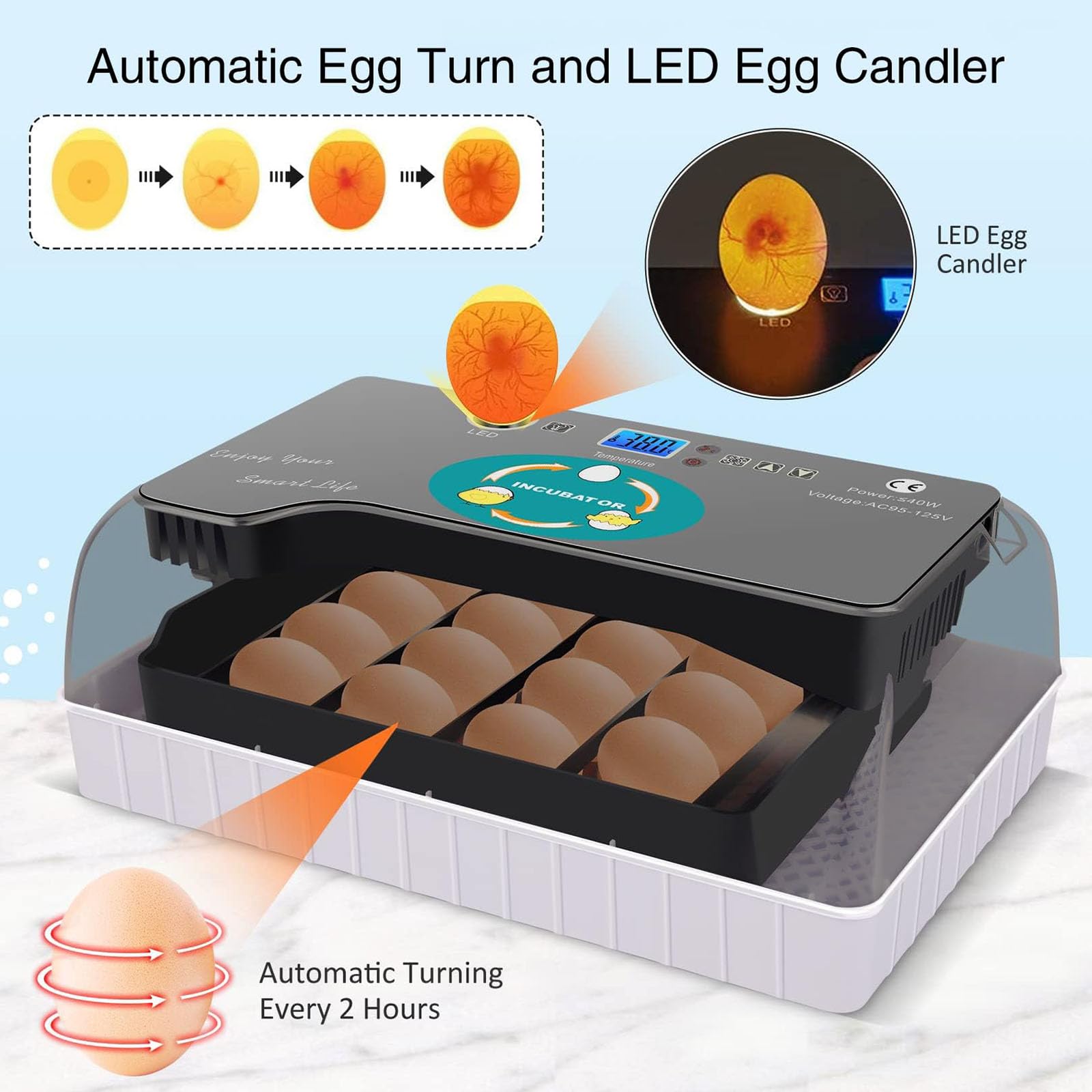 Incubadora automática de huevos para 12 huevos, incubadora digital con giro de huevos para incubar pollos, patos, gansos, codornices y otros pájaros