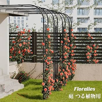 イタリア製 ウォールデコ ローズガーデン 宮廷 貴婦人 庭園 陶器 アート 楽天市場】壁飾り アイアン 陶器 壁掛け インテリア雑貨 花