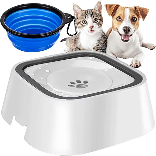 Cuenco de agua para perros, antisalpicaduras, sin babeo, cuenco de comida de via