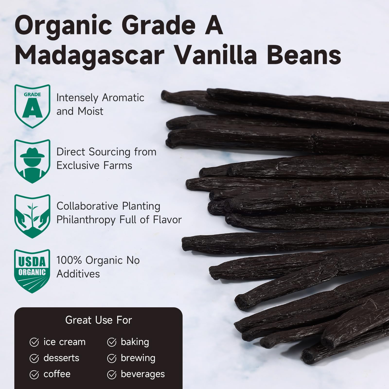 SPICEEL Bio Madagascar Lot de 10 gousses de vanille pour la fabrication d'extrait de vanille - Gousses de vanille entières pour la cuisson