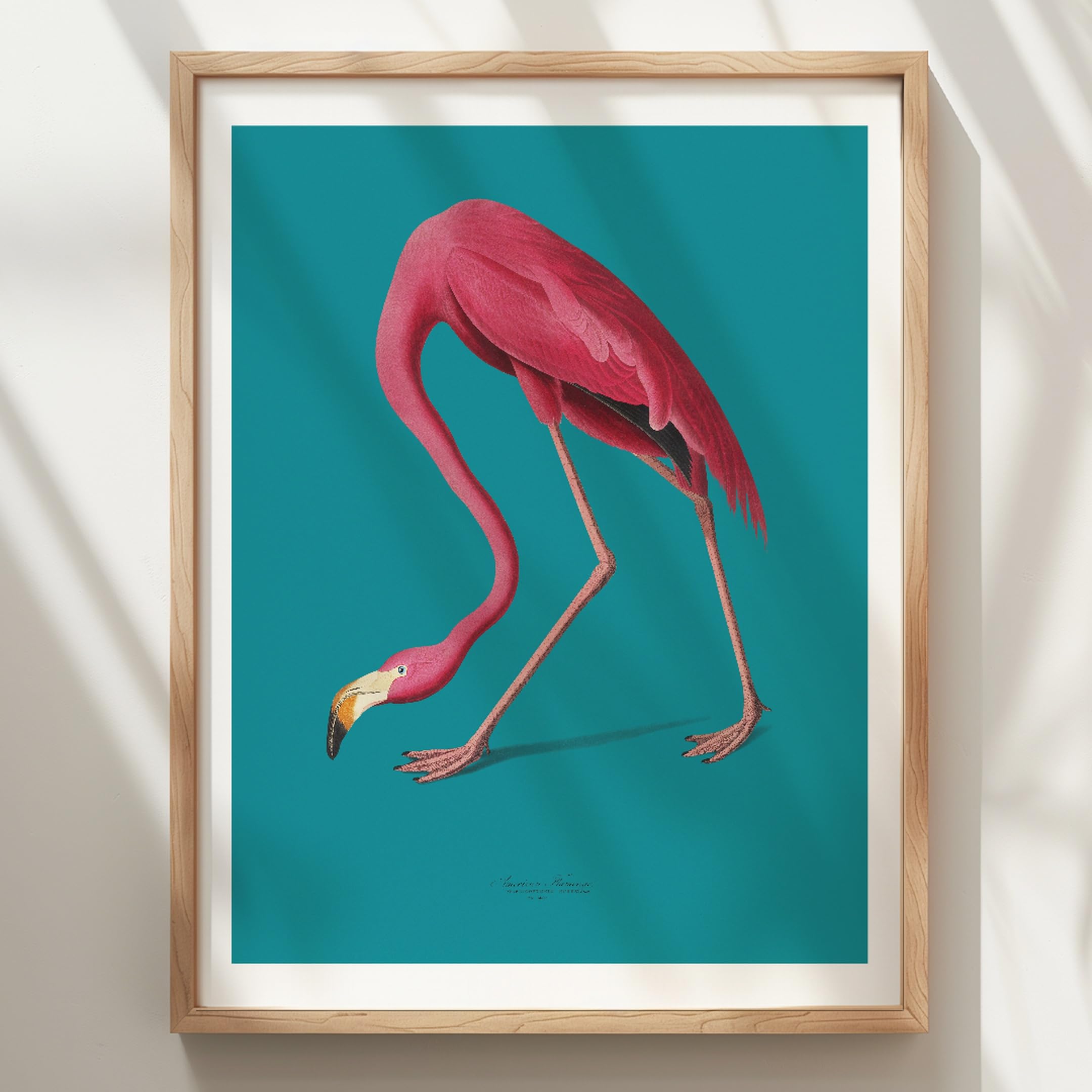 WallBUddy Flamingo Illustration Wandkunst Druck (30 x 40 cm, Eichenrahmen)