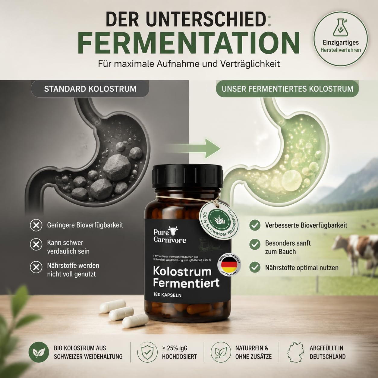 Colostrum Kapseln (180 Stück) | Fermentiertes Bio Colostrum aus Schweizer Weidehaltung | ≥ 25% IgG | Ohne Zusätze | Abgefüllt in Deutschland | PureCarnivore