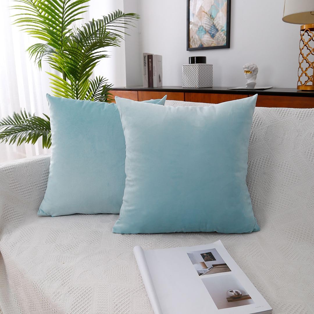 MoonRest - Pack of 2, Velvet Decorative Pillow Cover Set, Cozy Soft with Hidden Zipper Solid Color for Sofa Bedroom Car Couch Throw Pillow 22 x 22 Baby Blue