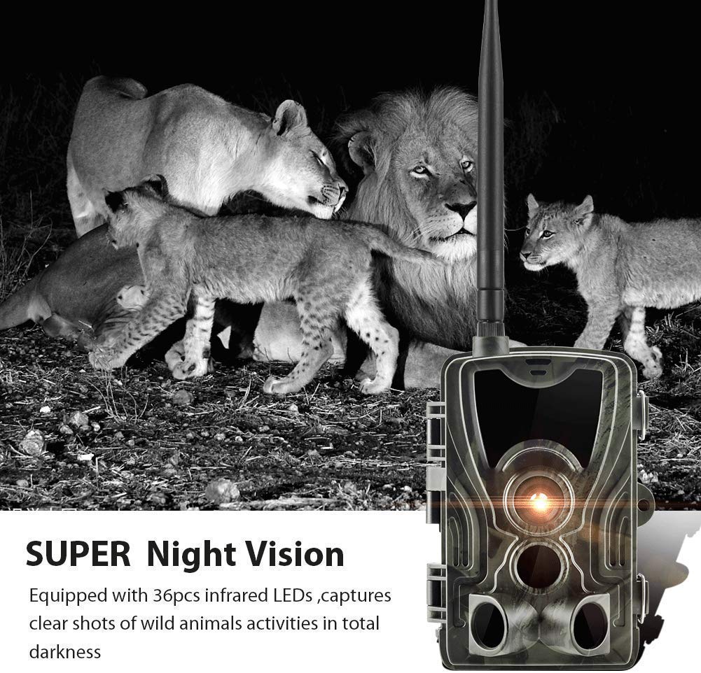 ワイルドライフ Amazon.co.jp: ワイルドライフトレイルカメラ2G、ハンティングゲーム