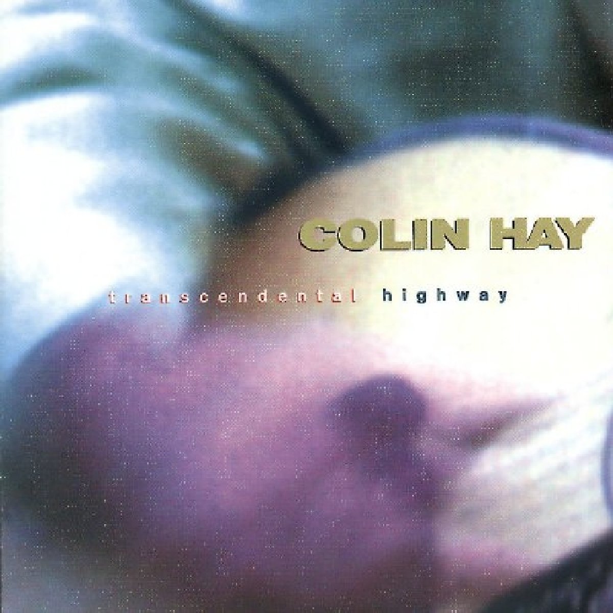 HAY;COLIN - TRANSCENDENTAL HIGHWAY [Audio CD] Colin Hay