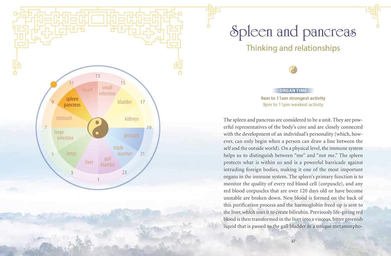 The Body Clock in Traditional Chinese Medicine: Understanding Our Energy Cycles for Health and Healing - Image 3
