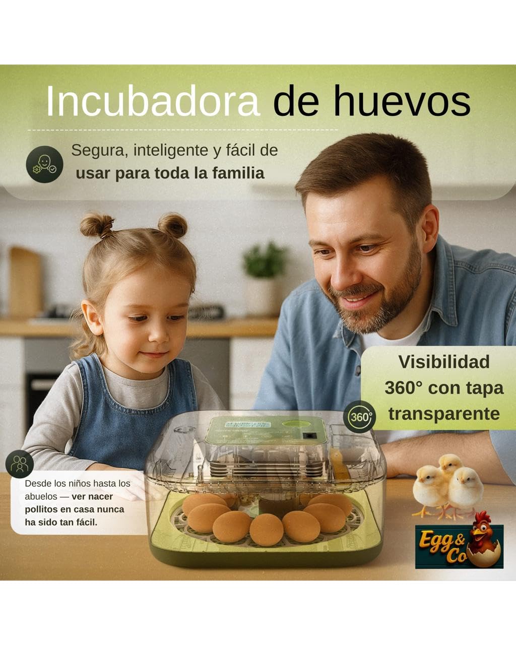 Egg&Co Start 12 – Incubadora automática 12 huevos gallina (36 codorniz). Control preciso de humedad, volteo automático, botella y ovoscopio incluidos. Ideal para principiantes y expertos.