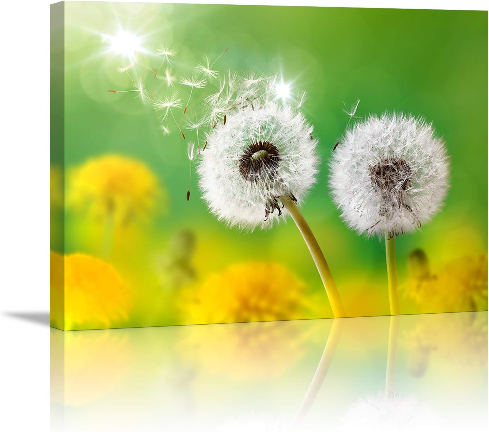 Wall Art for living room Canvas Prints Artwork bathroom Wall Decor light from sun Simple Life Green dandelion Picture Watercolor painting Framed bedroom wall decorations Office Works Home Decoration