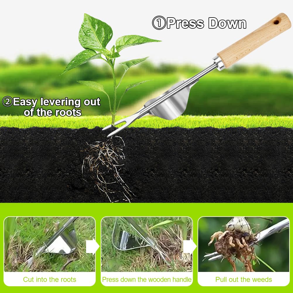 4 Stück Unkraut Entferner Gerät Edelstahl, Gartenarbeit Hand Unkrautstecher, Unkrautstecher mit Gezackter Kante, Unkrautjäter, Unkrautmesser mit Ergonomischer Griff, Entwurzelungswerkzeug