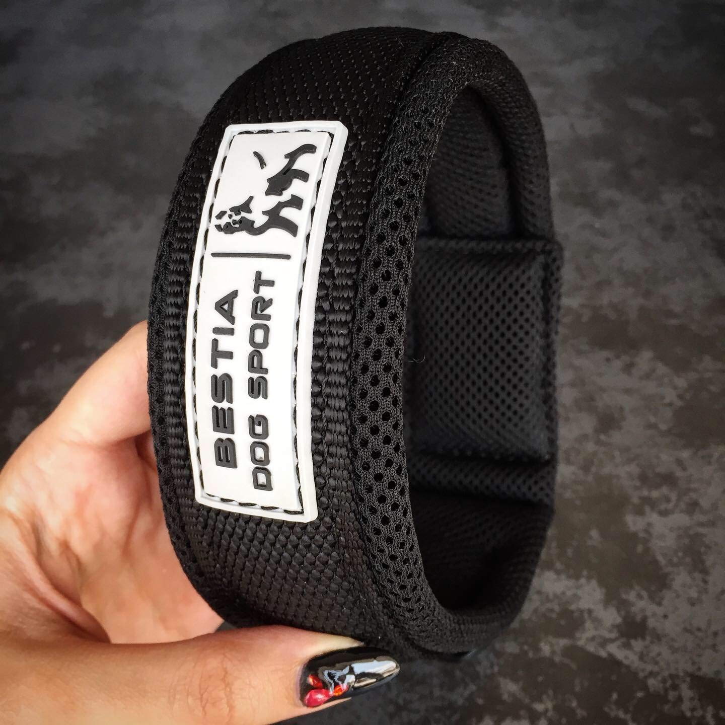 Bestia Dog Sport Collar para Perros de Apertura Rápida - Ajusta una Vez, abrocha en un Segundo, Hebilla metálica, Acolchado, Cinta TPU Impermeable (Negro, XXL)