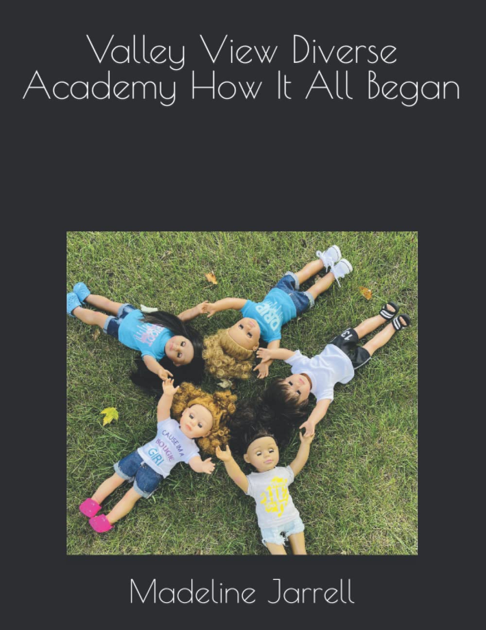 Valley View Diverse Academy How It All Began