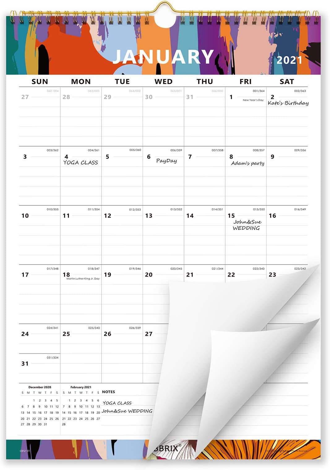 Cabbrix2020-2021 Year Monthly Wall Calendar, Study Wall Calendar for Home Schooling Plan, Wirebound, 17 x 12 Inches