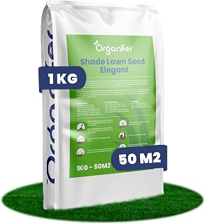 Shade Grass Seeds - Elegant (1kg Per 50 M2) - Shade Tolerant Grass - Dense Lawn - Lawn Generation - Garden Grass