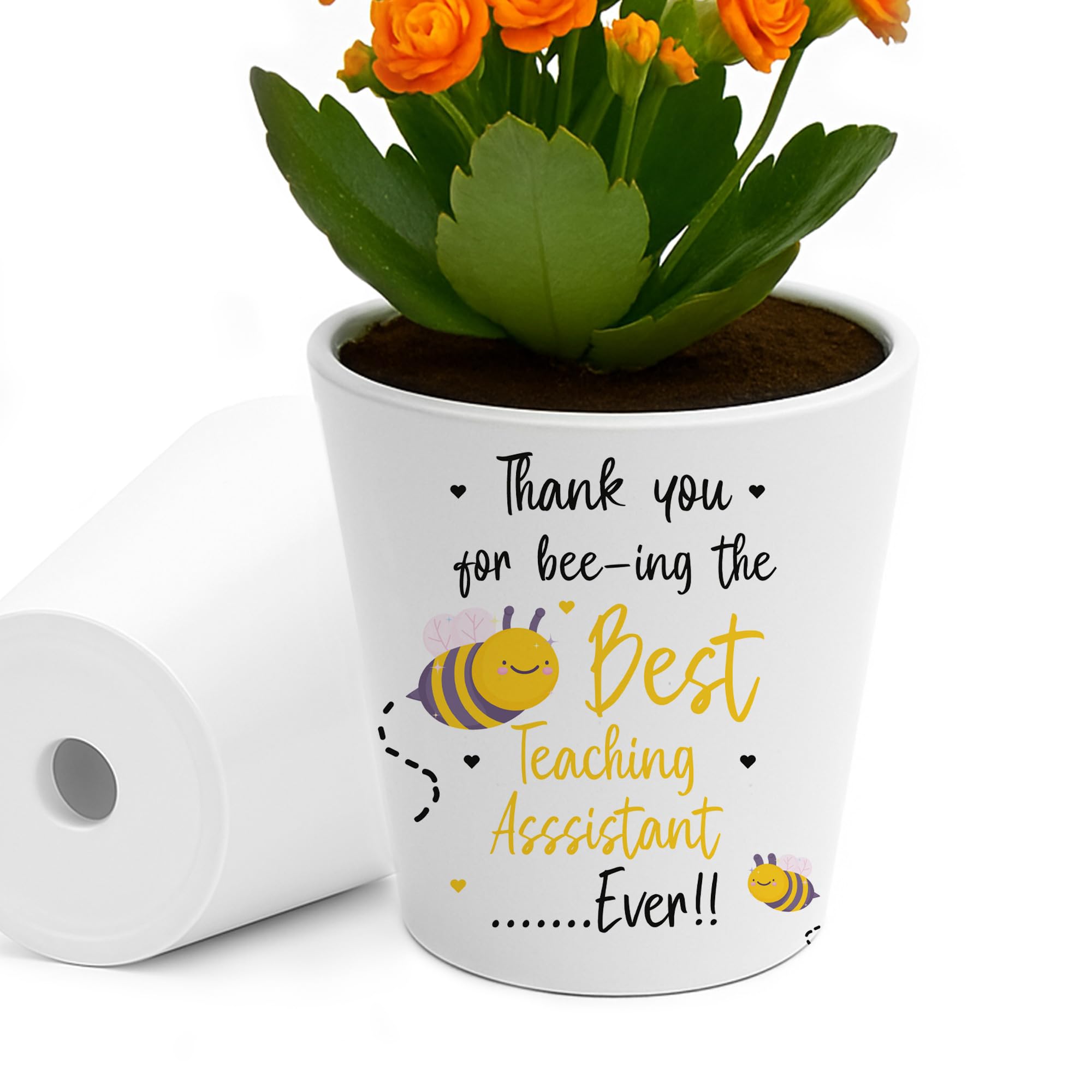 Red Ocean Best Teaching Assistant Ever Gift Thank You Gifts for TA Plant Pot 10cm x 9cm Leaving Gift for Him Her Appreciation Gifts Teaching Assistant from Students Kids