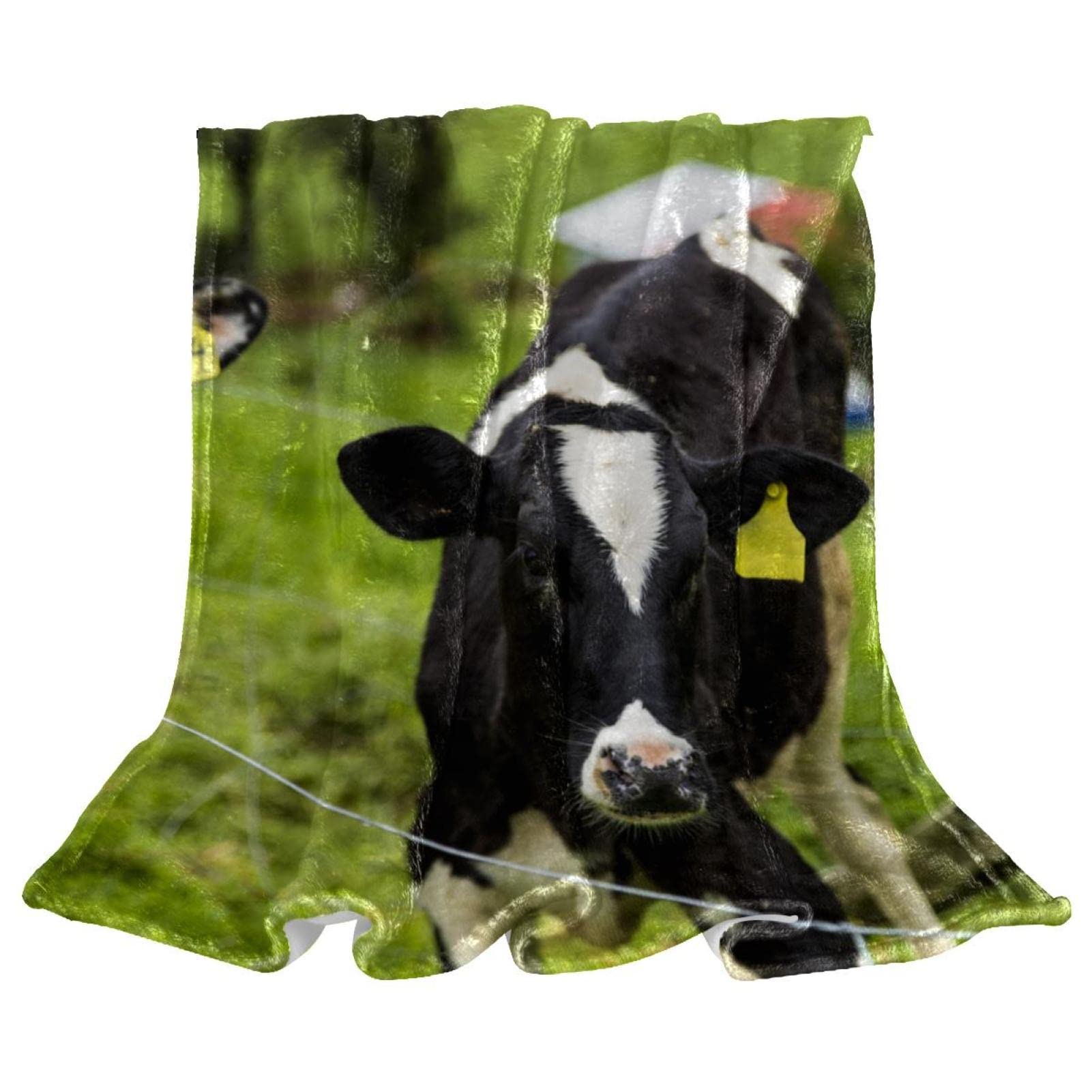 Jeté de lit polaire vache pour cocooning sur le canapé