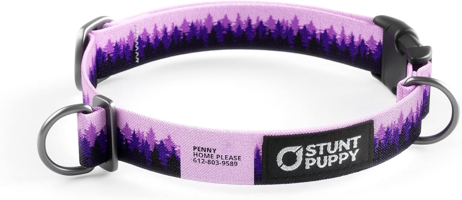 Personalized Purple Pines Dog Collar (Small)