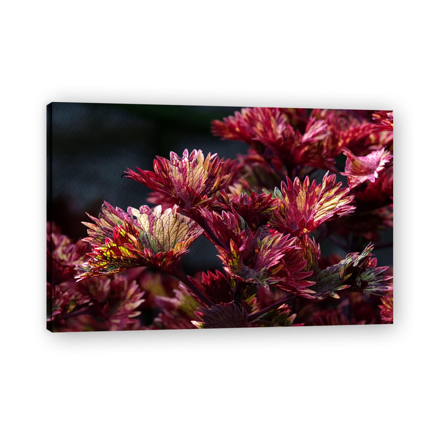 VHdfgTY A Splendid LifeLarge Mountain Landscape Canvas Wall Art Nature Scenery for Home Decor 50x75cm Framed