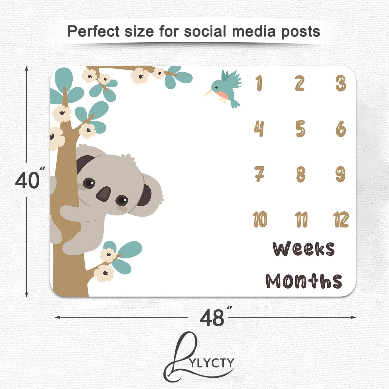 Baby Milestone Blanket 15 Baby Monthly Milestone Svg Bundle , Baby ...