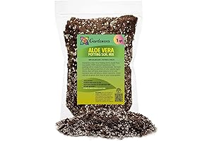 Premium Aloe Vera Potting Soil Mix: Nourish Your Desert Companions