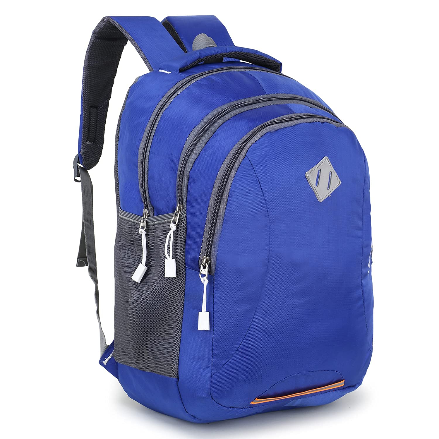 LAXELLA (15 inch 25 L Casual Waterproof Laptop Backpack/Office Bag/School Bag/College Bag/Business Bag/Unisex Travel Backpack (Pack of 1) (B09RPQQ8C5) Amazon Price History, Amazon Price Tracker