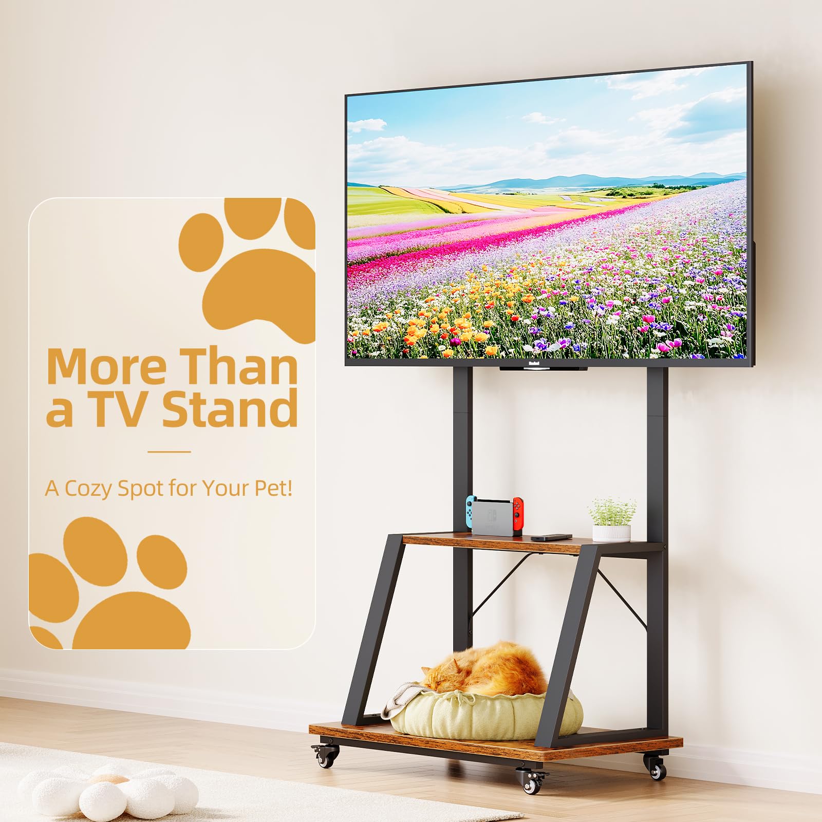 Dripex TV Ständer mit Rollen, höhenverstellbarer TV Rollwagen für 32-70 Zoll Fernseher bis 80 kg, mobiler TV Schrank mit 2 Ablagen für Wohnzimmer, Büro und Home Gym