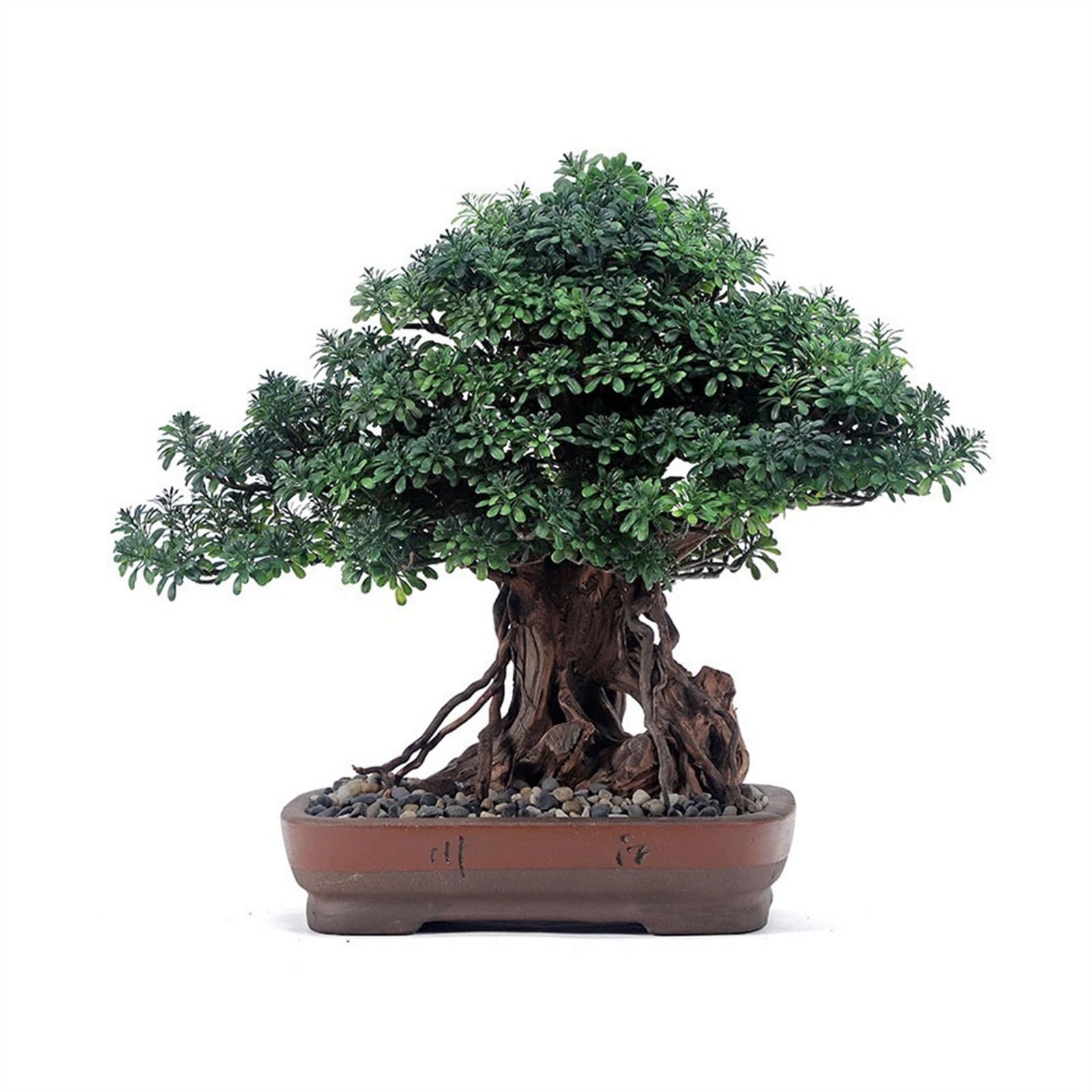 HCZKIUJY Bonsai Simulation Bonsai Fake Green Plants Potted Hotel High-grade Furnishings Office Study Chinese Decorative Ornaments Plant