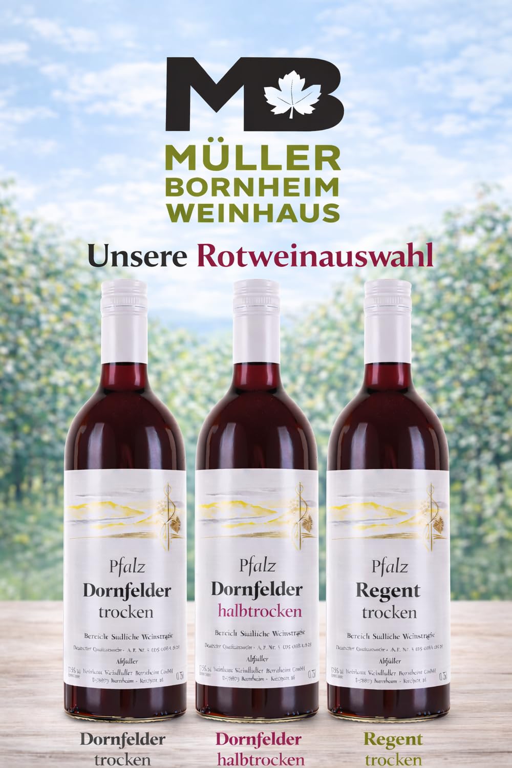 Weinhaus Müller Bornheim Regent Trocken - 12x0,75L Pfalz Rotwein Set | Deutscher Qualitätswein vom Bornheimer Trappenberg - Körperreich & Würzig - Ideal zu Wild, Fleisch & Pasta - 12er Vorrat