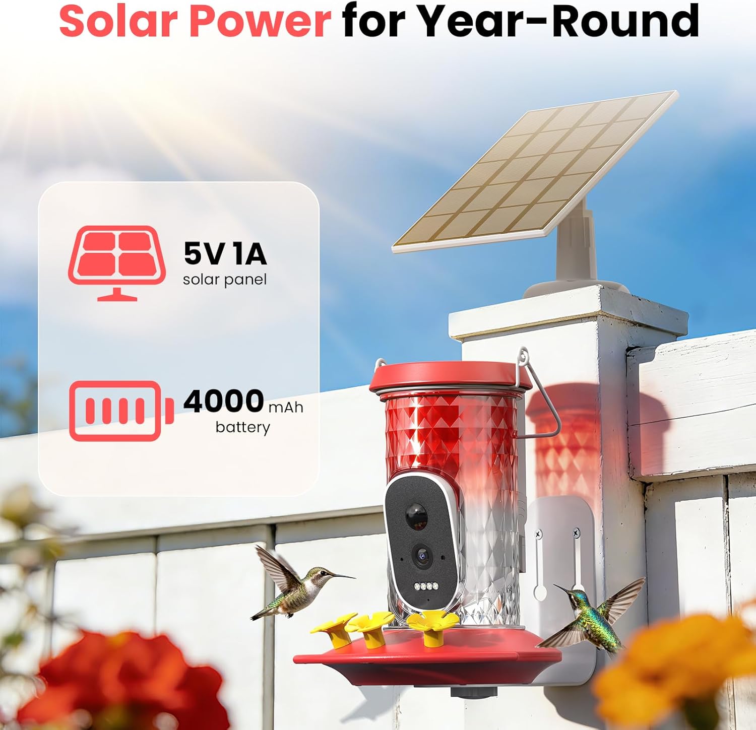 Smart Hummingbird Feeder Camera with AI Identification, 2.5K HD & Color Night Vision, Solar Powered Outdoor, IP66 Weatherproof – Garden Decor & Premium Gift for Mom