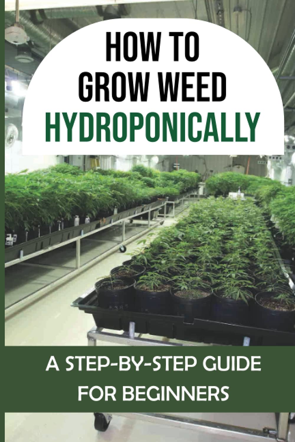 How To Grow Weed Hydroponically: A Step-By-Step Guide For Beginners: How To Grow Hydroponics For Beginners