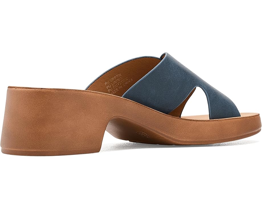 Los Cabos Alegro - Bottom View