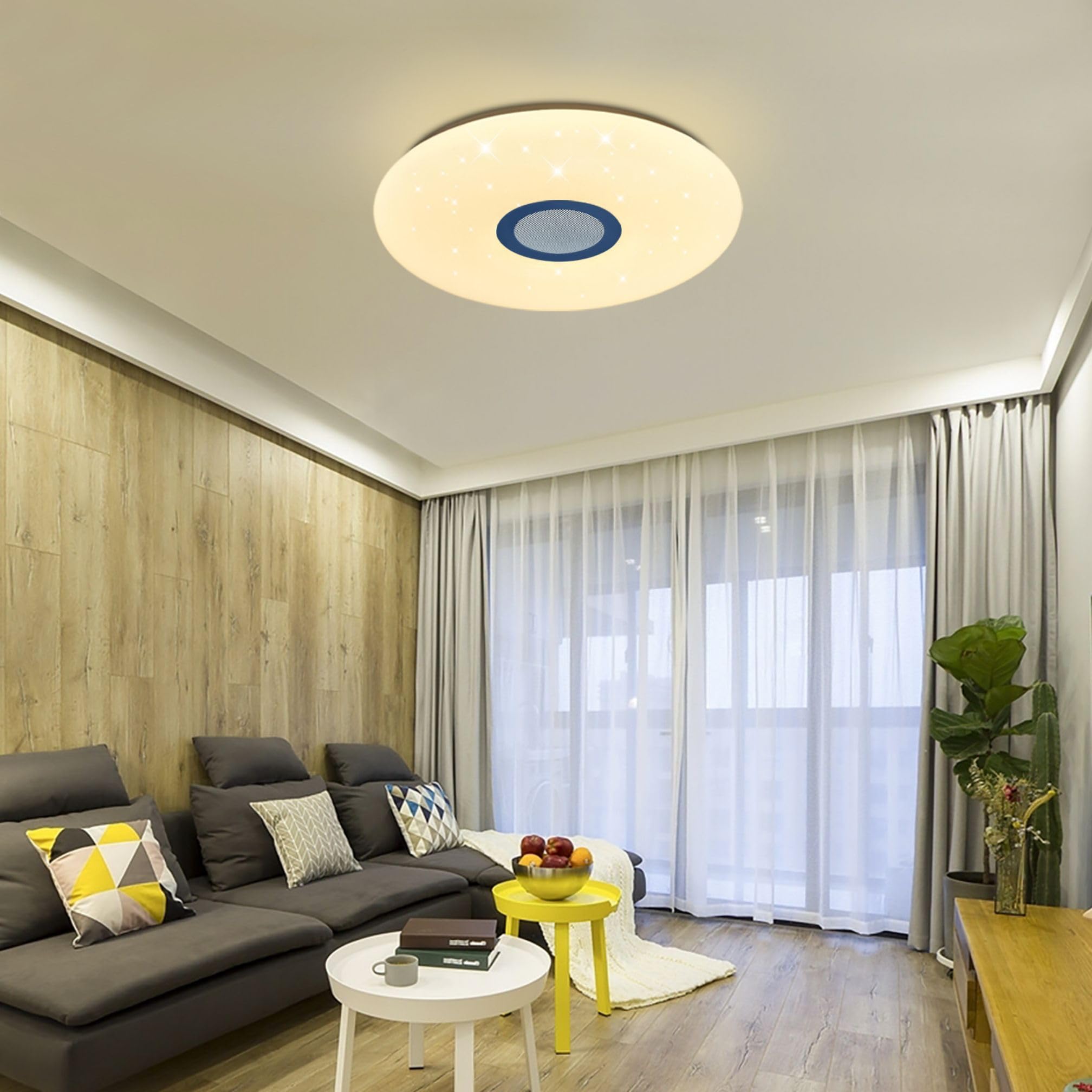 36W Plafón LED Regulable,Altavoz Bluetooth, Cambio de Color RGB Lámpara, Plafón con Control Remoto y APP,Musical Lámpara de techo para Cocina,Dormitorio,Habitaciones Infantiles, Salones 30cm