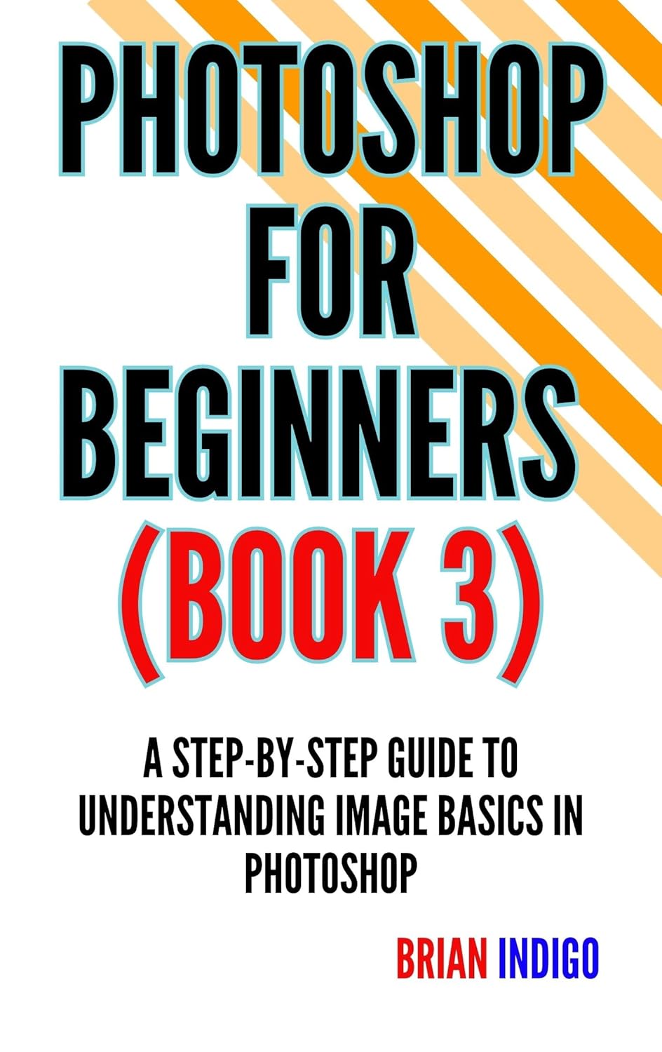 FOR BEGINNERS (BOOK 3) A stepbystep guide to understanding