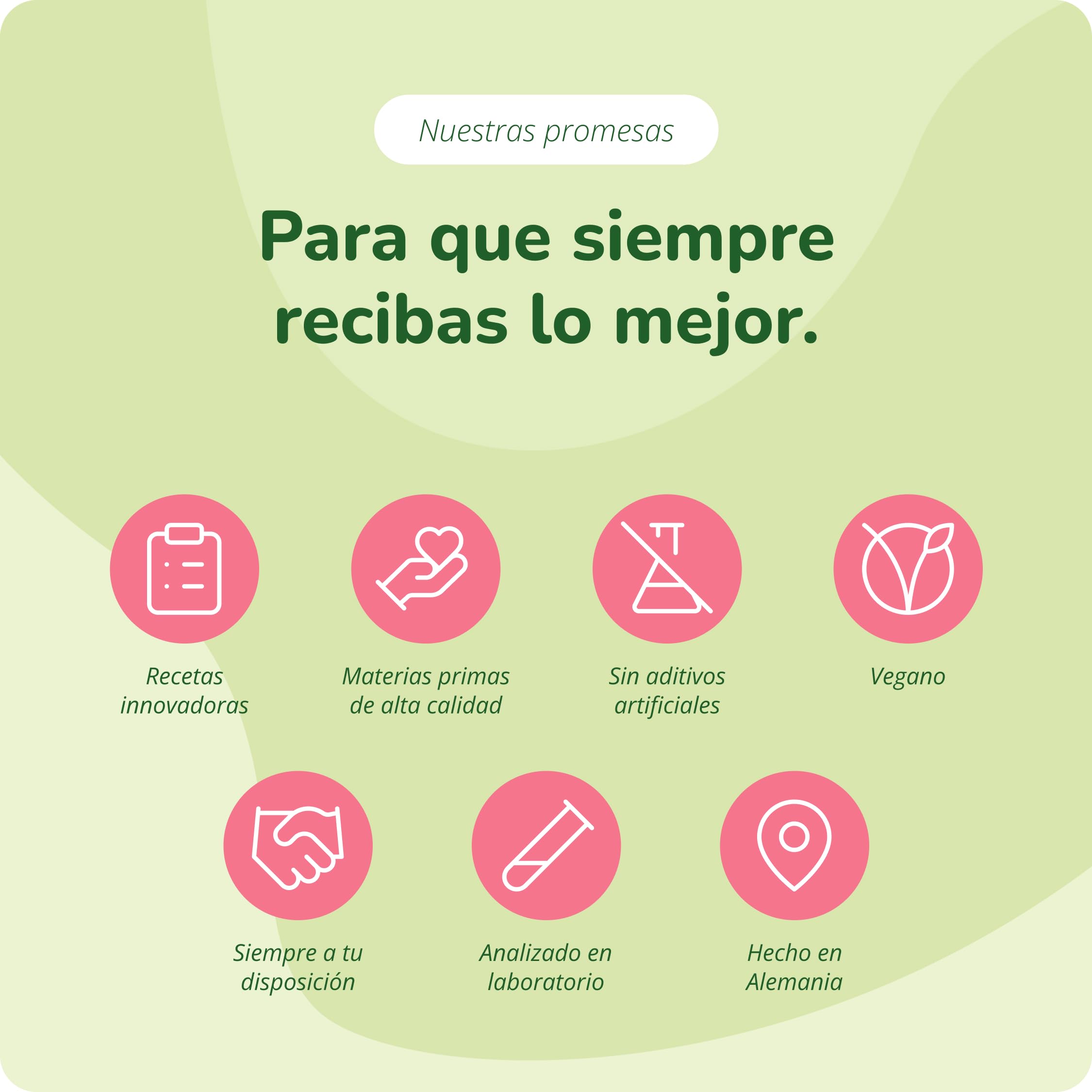 Aceite de Orégano Vegavero | El ÚNICO ORGÁNICO Y VEGANO | Antioxidante + Cándida + Antiinflamatorio Natural | Oregano Oil | 70% Carvacrol + 2,5% Timol | Sin Aditivos