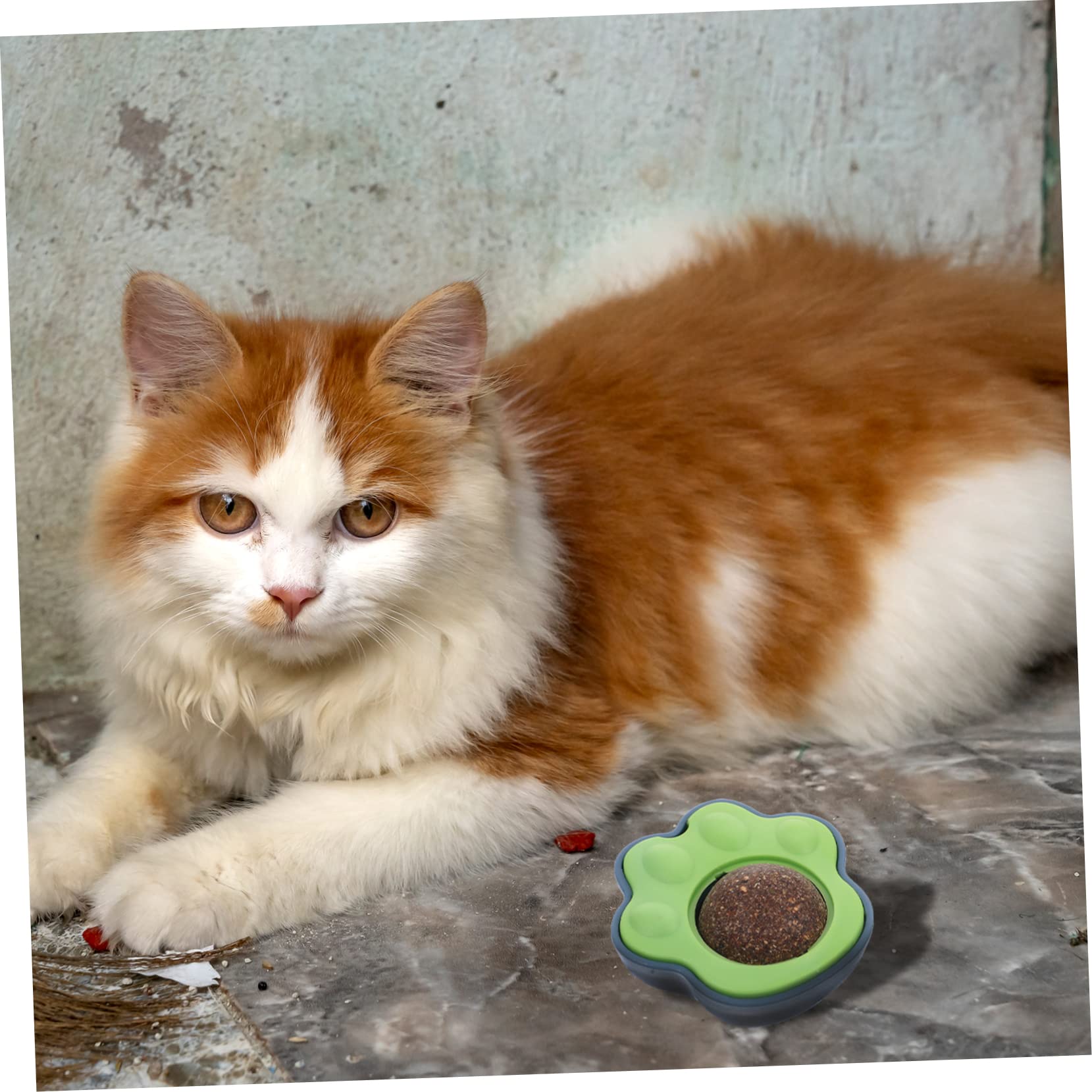Yardwe 10sets Giocattolo Interattivo Per Gatti Da Palline Di Catnip Rotanti Gioco Per Pulizia Dei Denti e Divertimento Per Gatti Indoor Sicuro e Edibile