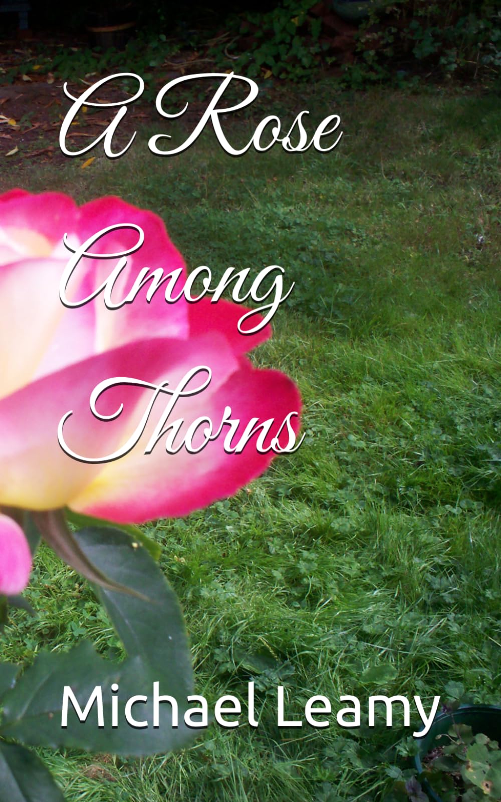 A Rose Among Thorns
