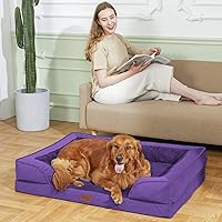 Vista 500 de Comfort Expression - Cama ortopédica para perros extragrandes, 53 x 42 pulgadas, cama impermeable y de apoyo de espuma con cojines removibles