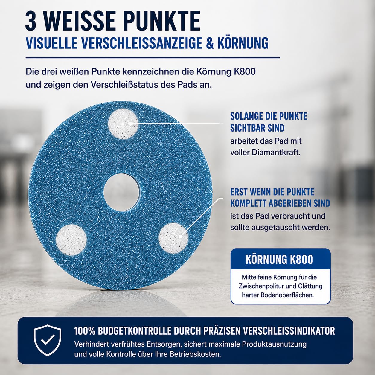 Profi Diamantpad K800 Weiß (2er Vorteilspack) – Blaues Diamantschleifpad für Einscheibenmaschinen | Zur Zwischenpolitur & Veredelung von Beton & Hartböden | Erhältlich in 13", 16", 17" & 20" (13 Zoll)