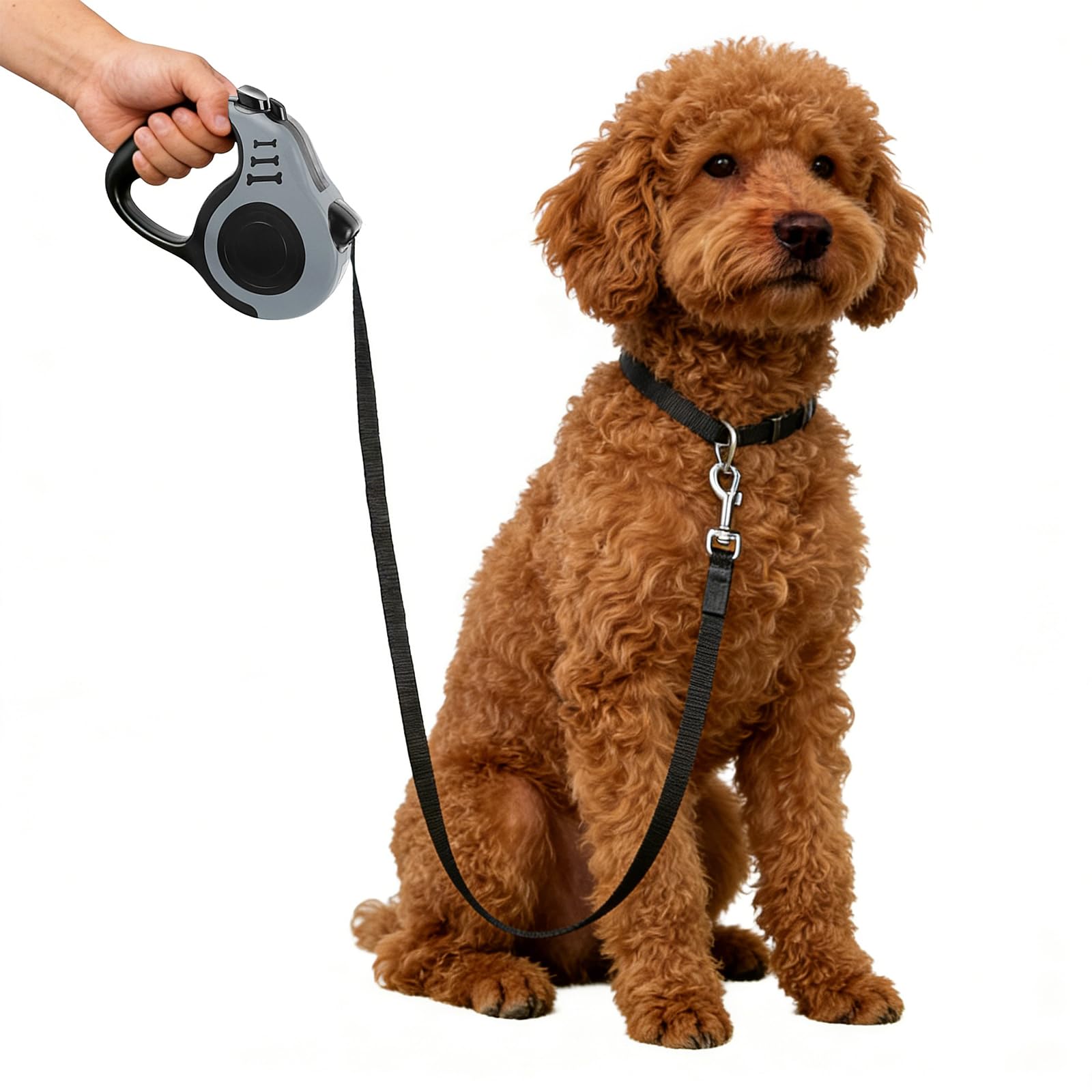 Hundeleine, Ausziehbar, Einziehbar,5Meter, Flexibles Band für Rechts- und Spaziergänge, Dog Leash, Rolleine, Flexileine, Retractable (Grau, 5 Meter)