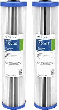 Pentair Pentek R30-20BB Big Blue Pleated Polyester Sediment Water Filter, 20" x 4.5", 30 Micron, Whole House Reusable Cartridge, Pack of 2