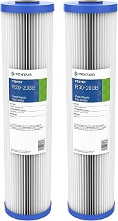 Pentair Pentek R30-20BB Big Blue Pleated Polyester Sediment Water Filter, 20" x 4.5", 30 Micron, Whole House Reusable Cartridge, Pack of 2