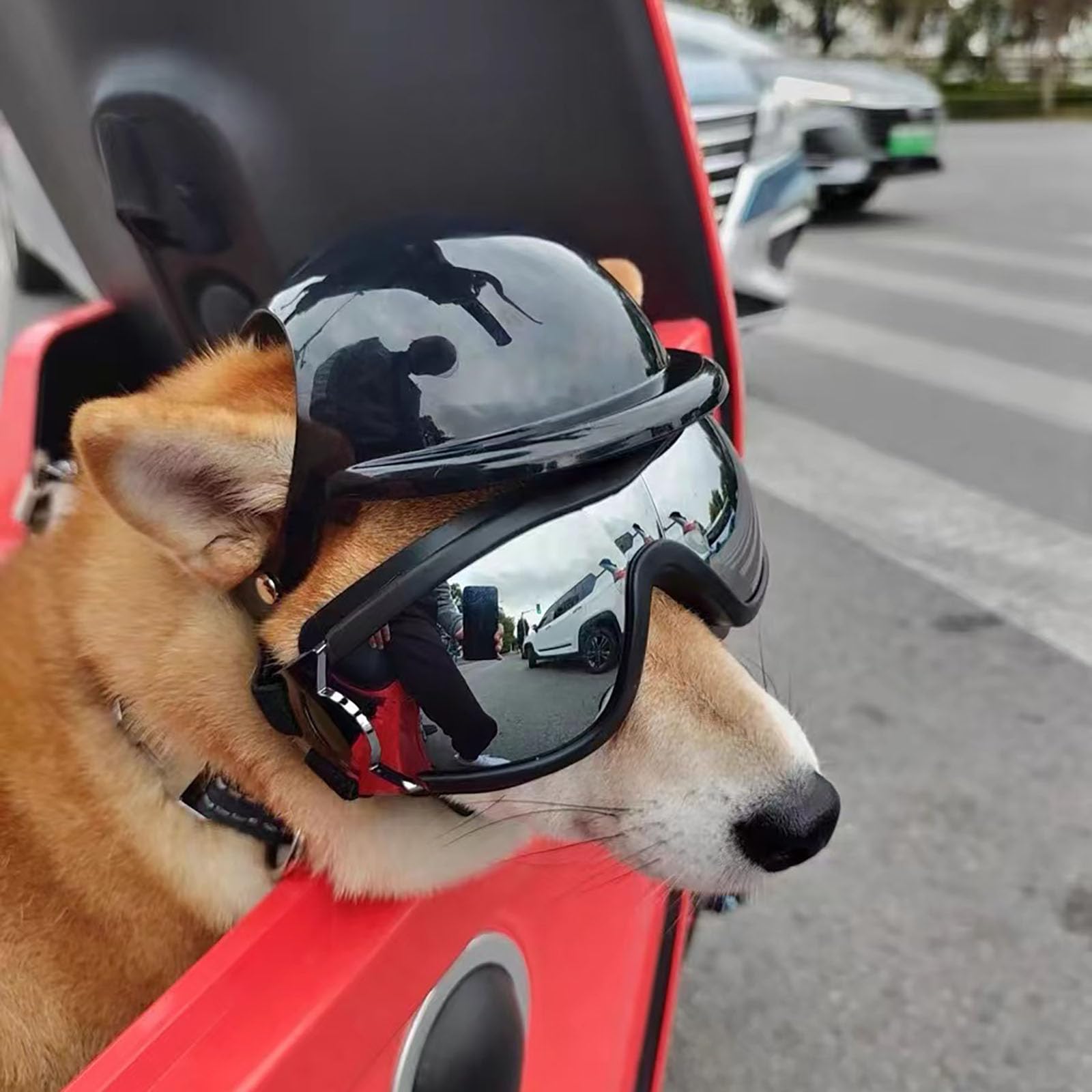 Grand Casque et Lunettes pour Chiens, Lunettes de Soleil pour Animaux de Compagnie, Casques de Moto pour Chiens, Chapeau de vélo pour Animaux de Compagnie, pour l'équitation