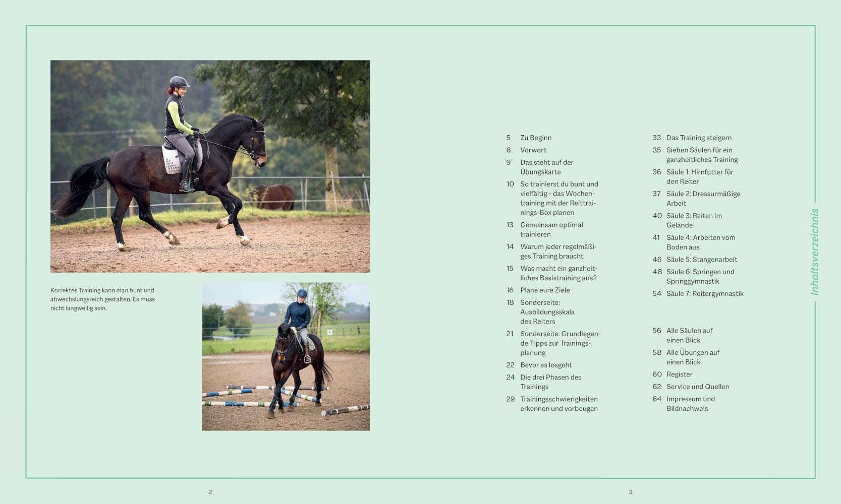 Die Reittrainings-Box: Ganzheitliche Übungsprogramme für Pferd und Reiter einfach selbst zusammenstellen - Genial flexibel für Anfänger und Fortgeschrittene aller Reitstile (BLV Pferde & Reiten)