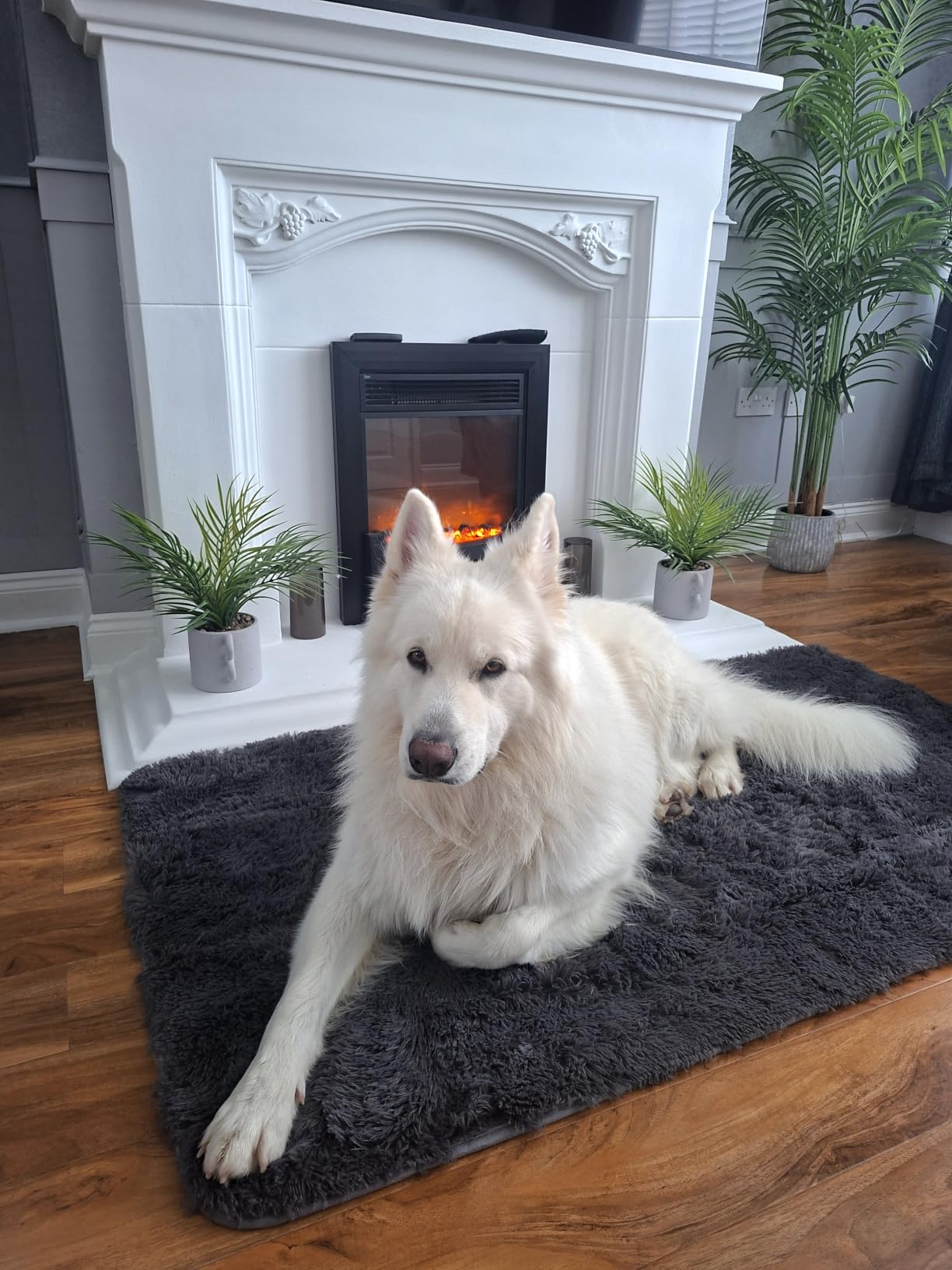 Customer photo