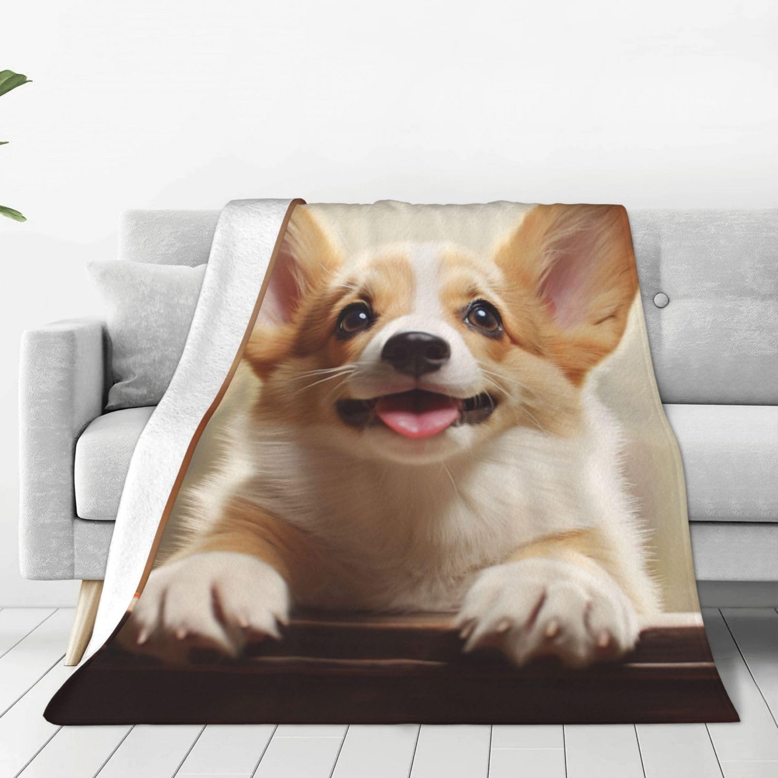 Plaid corgi mignon en micro polaire, le cadeau idéal pour chambre