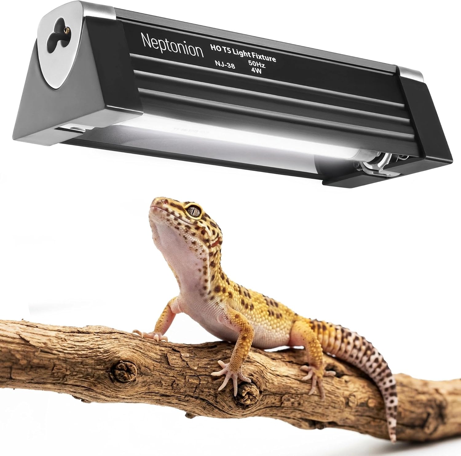4W Reptile T5 HO UVB 6.5" 5.0 Light Fixture with Tube, Dedicated UVB Spot Hood for Terrariums, Suitable for Arid Reptiles Like Leopard Gecko